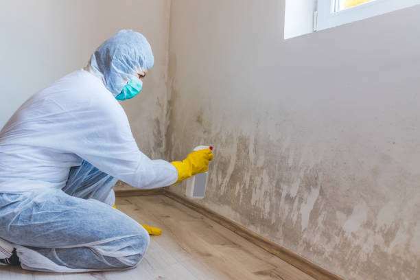 Mold inspector in Haskell performing thermal imaging