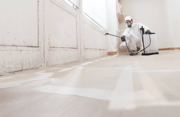 Black mold remediation team in Haskell